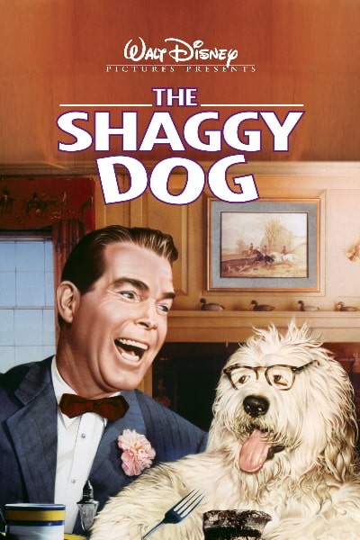 The Shaggy Dog