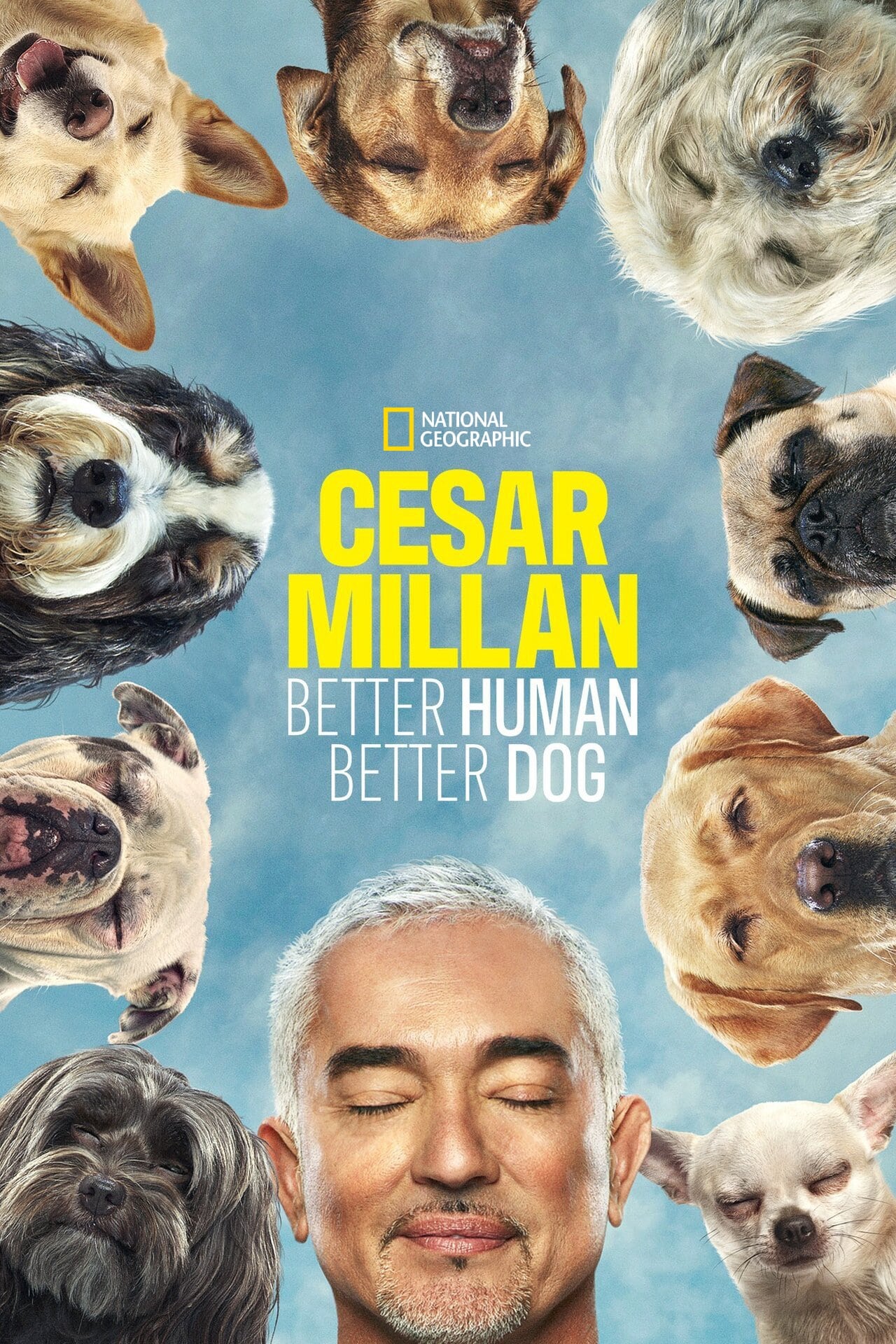 Cesar Millan: Better Human Better Dog - Season 2